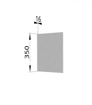 Панель торцевая (для шкафа горизонтального) ПГ Ройс (Графит софт) в Вьюнах - vyuny.mebel54.com | фото
