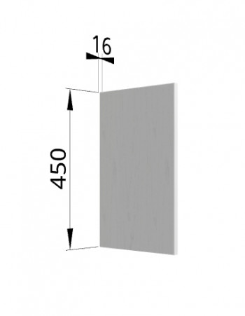 Панель торцевая (для шкафа горизонтального высокого) ВПГ Ройс (Графит софт) в Вьюнах - vyuny.mebel54.com | фото